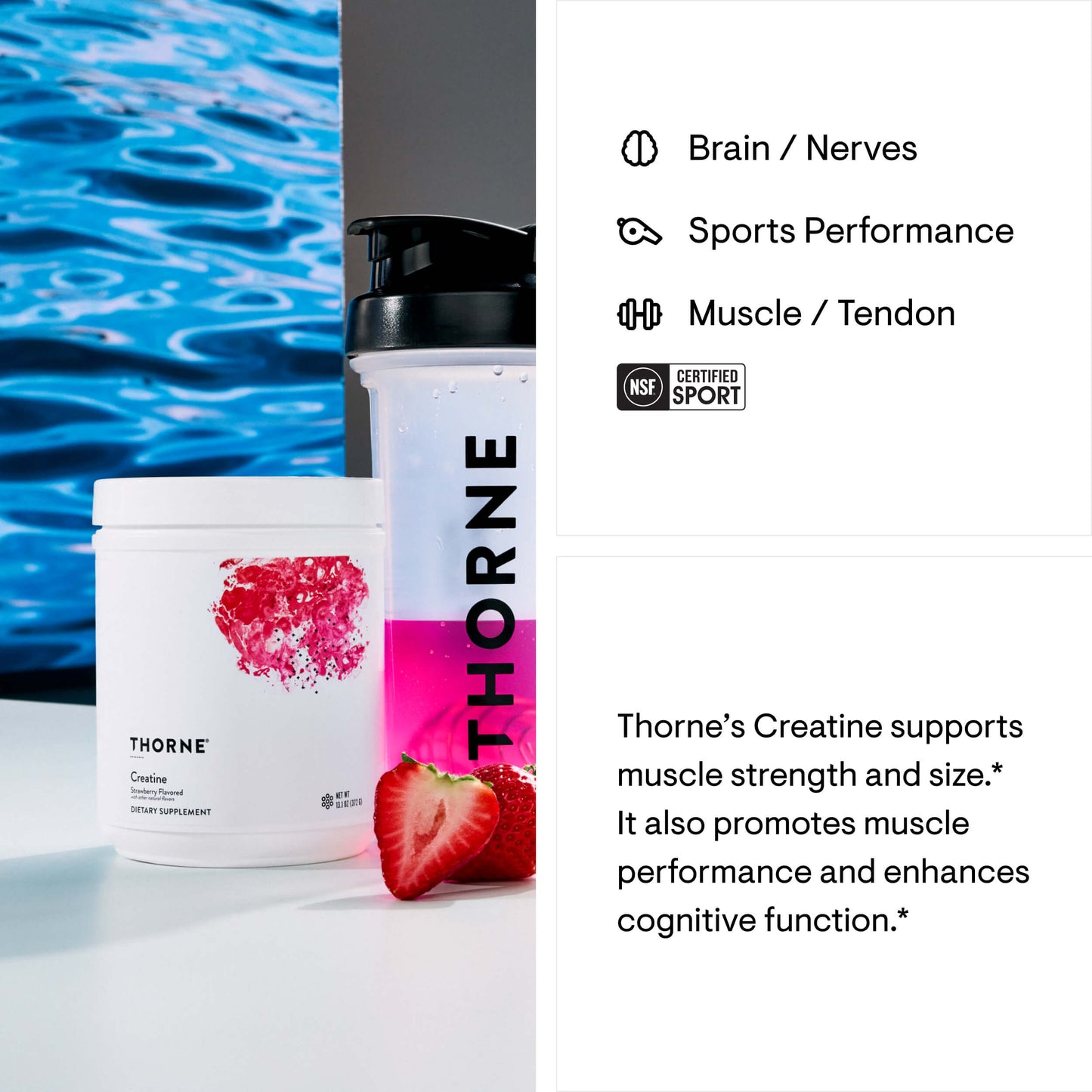 Thorne Creatine